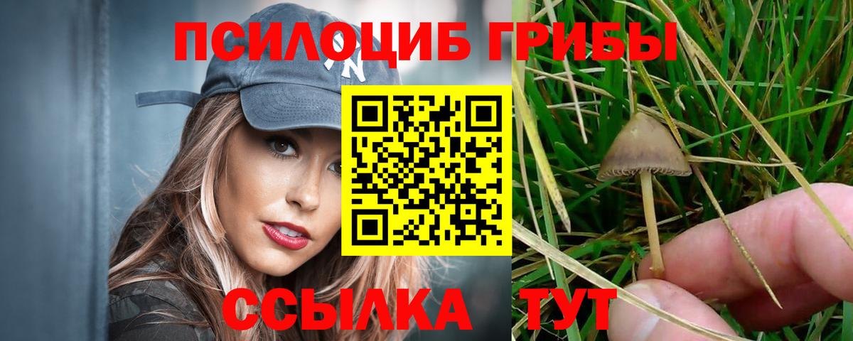Галлюциногенные грибы Psilocybine cubensis  Вход с VPN  Реутов  Галлюциногенные грибы Magic Shrooms 